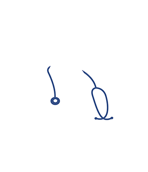 Dr. Dt. Feyza Nur BULUT